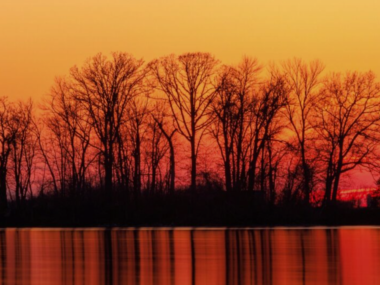 Screenshot 2026 02 11 163652